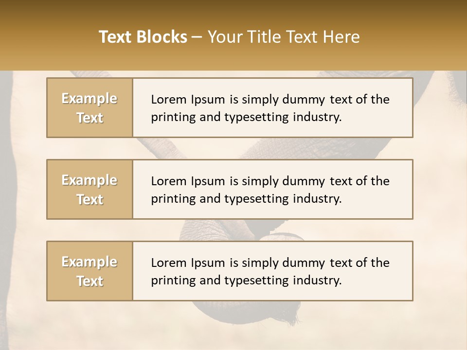 Baby Elephant Holds On To Mom's Tail PowerPoint Template