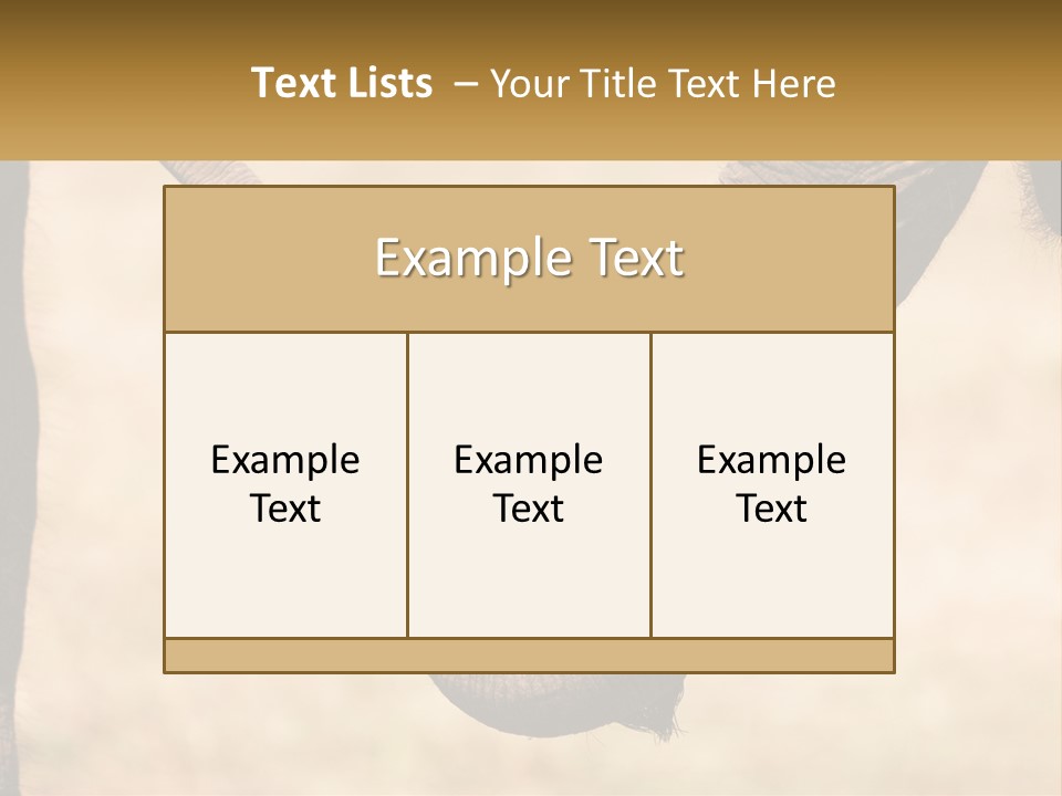 Baby Elephant Holds On To Mom's Tail PowerPoint Template