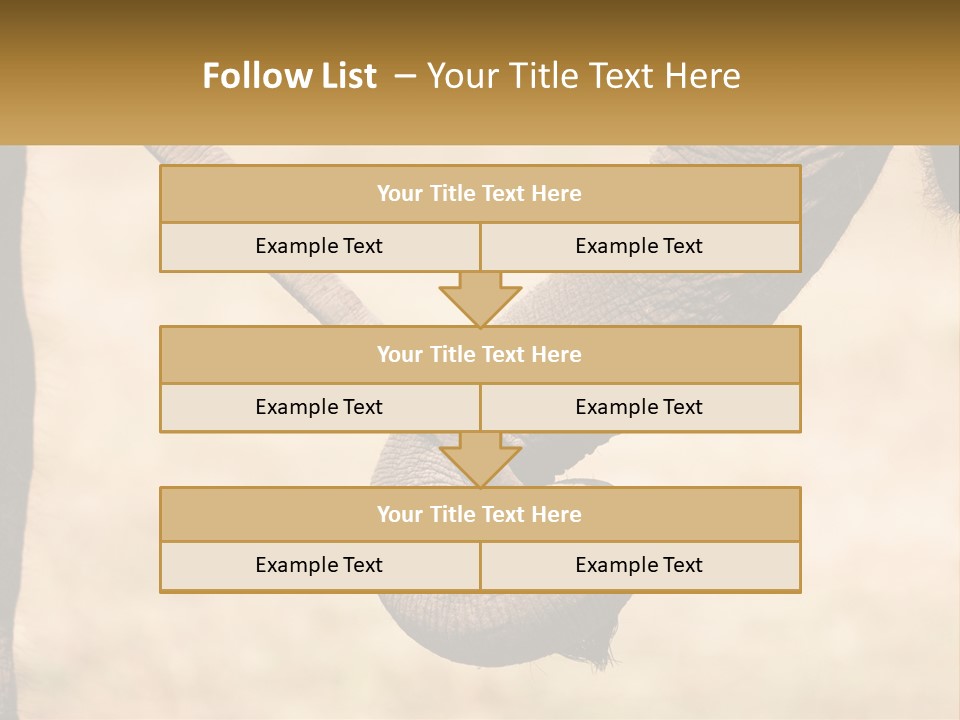 Baby Elephant Holds On To Mom's Tail PowerPoint Template