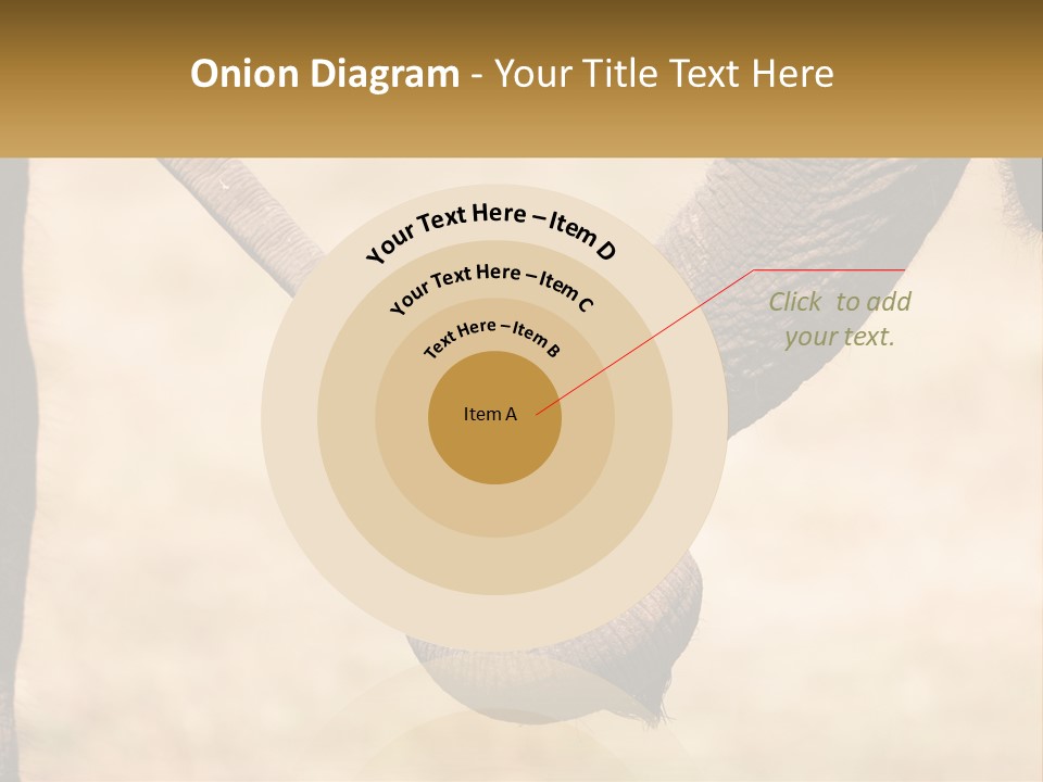 Baby Elephant Holds On To Mom's Tail PowerPoint Template