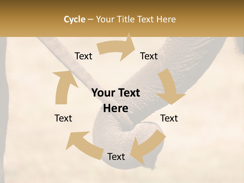 Baby Elephant Holds On To Mom's Tail PowerPoint Template