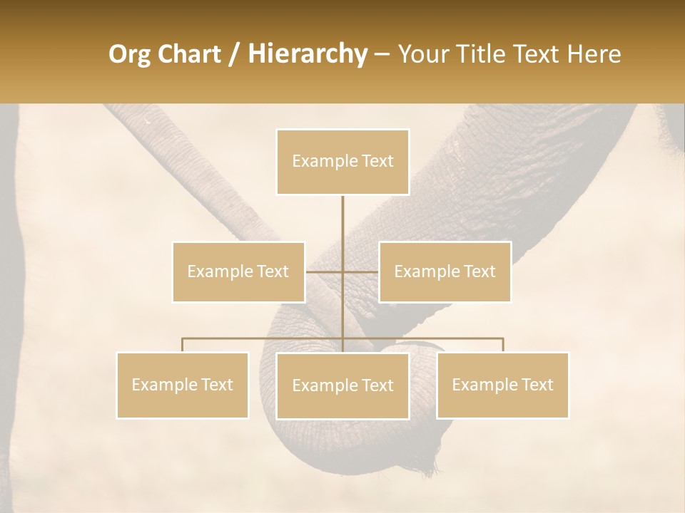 Baby Elephant Holds On To Mom's Tail PowerPoint Template
