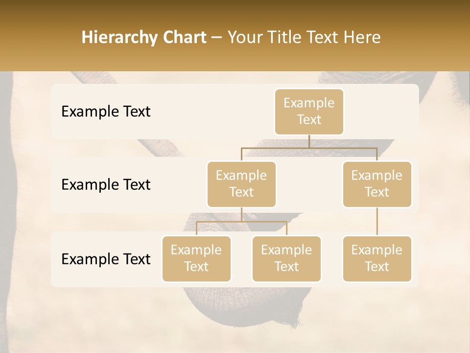 Baby Elephant Holds On To Mom's Tail PowerPoint Template