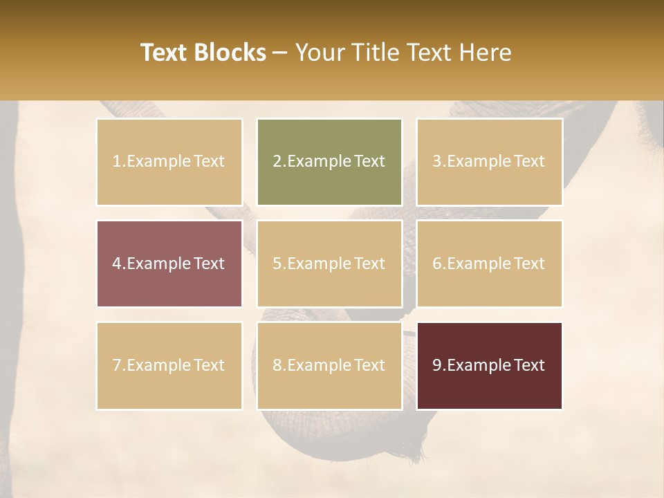 Baby Elephant Holds On To Mom's Tail PowerPoint Template