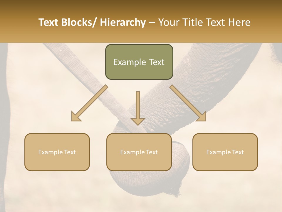 Baby Elephant Holds On To Mom's Tail PowerPoint Template