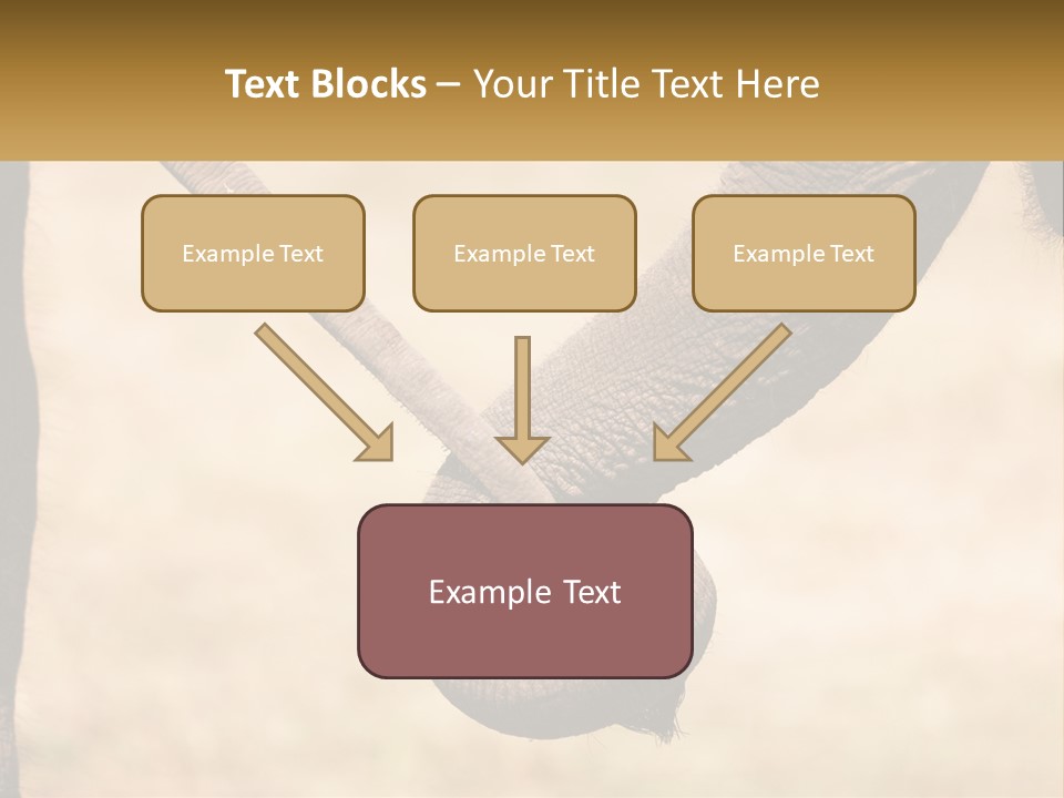Baby Elephant Holds On To Mom's Tail PowerPoint Template