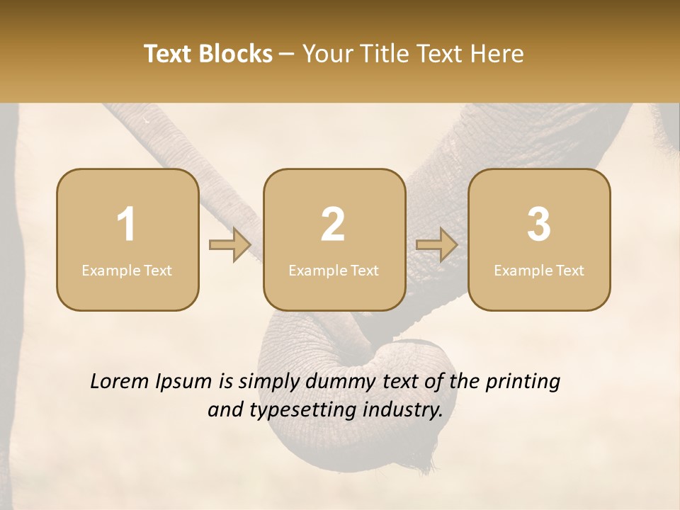 Baby Elephant Holds On To Mom's Tail PowerPoint Template
