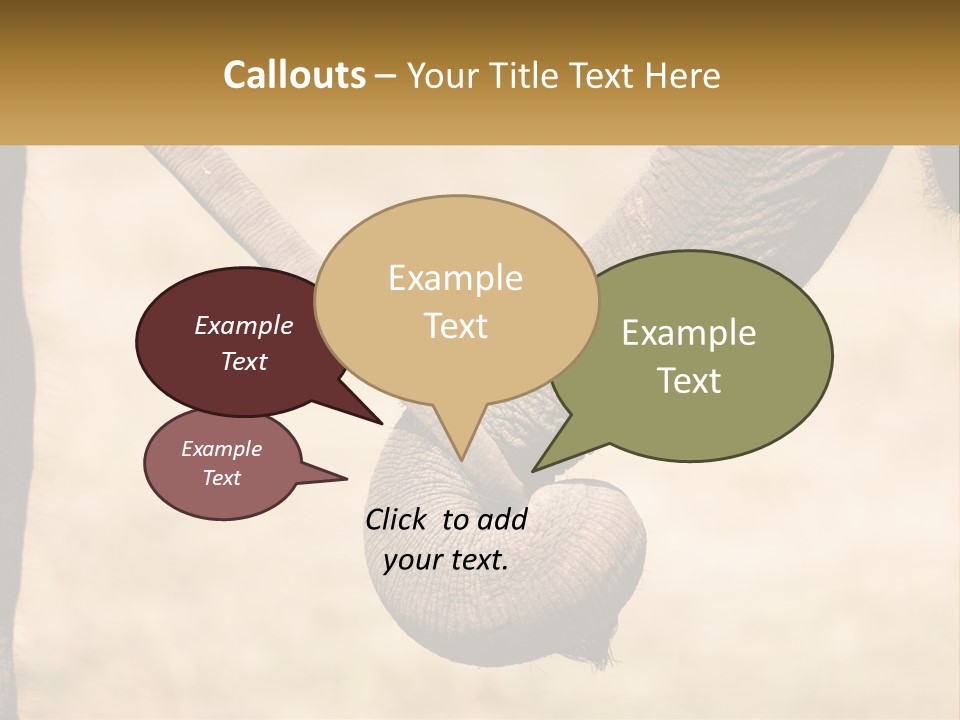 Baby Elephant Holds On To Mom's Tail PowerPoint Template