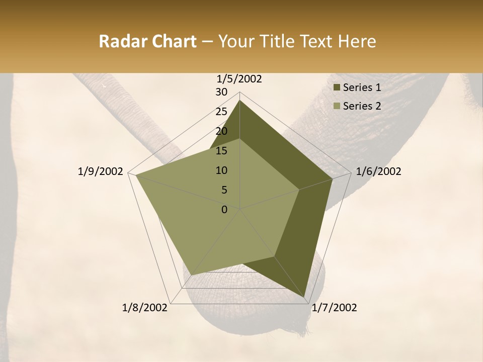 Baby Elephant Holds On To Mom's Tail PowerPoint Template