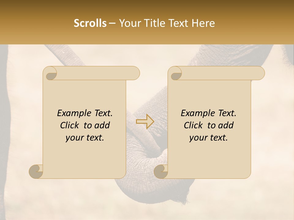Baby Elephant Holds On To Mom's Tail PowerPoint Template
