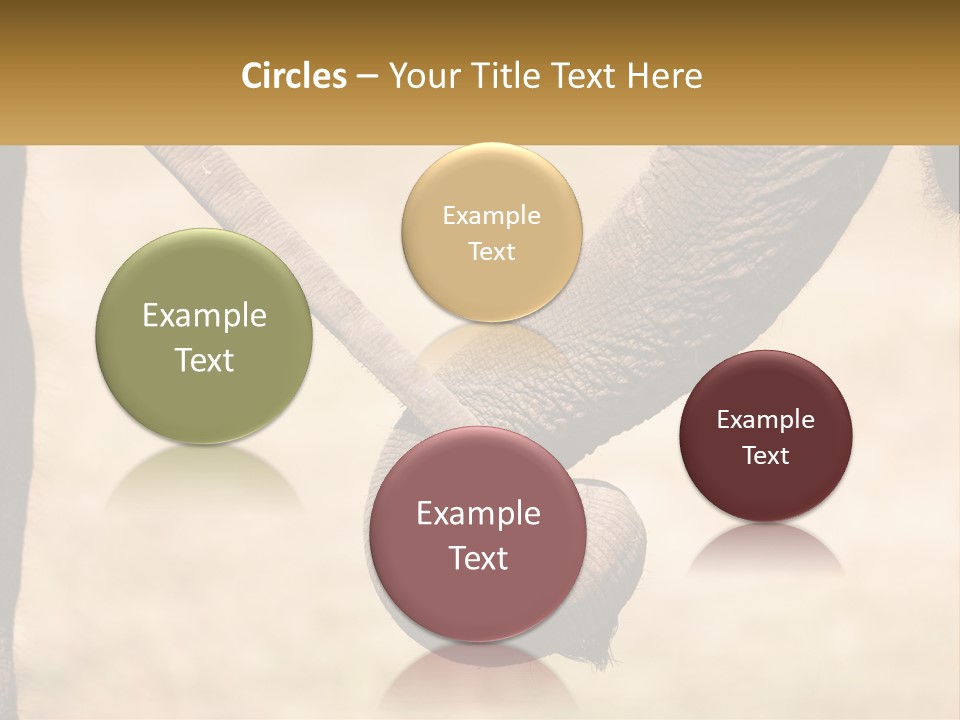 Baby Elephant Holds On To Mom's Tail PowerPoint Template