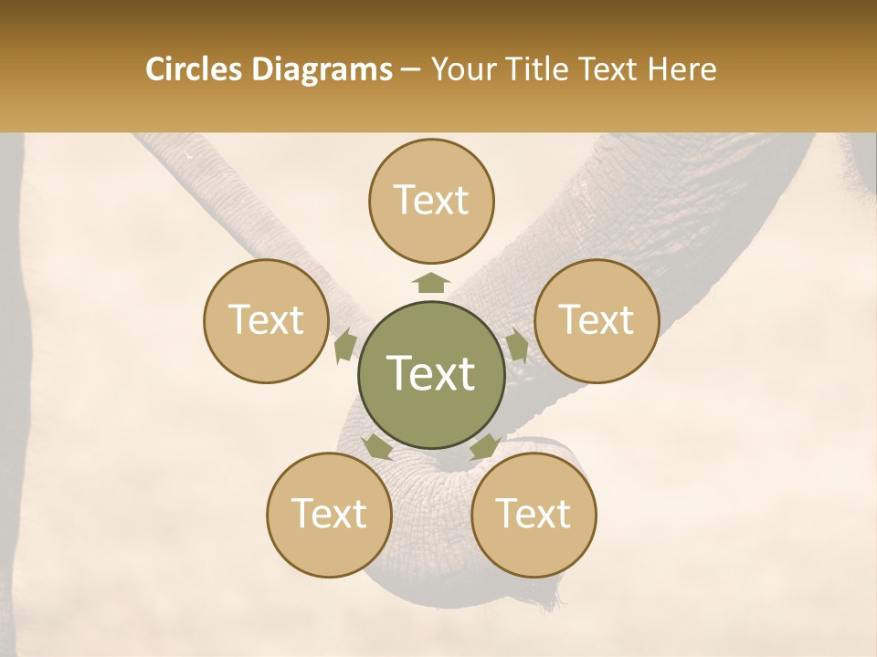 Baby Elephant Holds On To Mom's Tail PowerPoint Template
