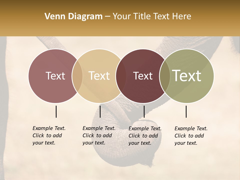 Baby Elephant Holds On To Mom's Tail PowerPoint Template