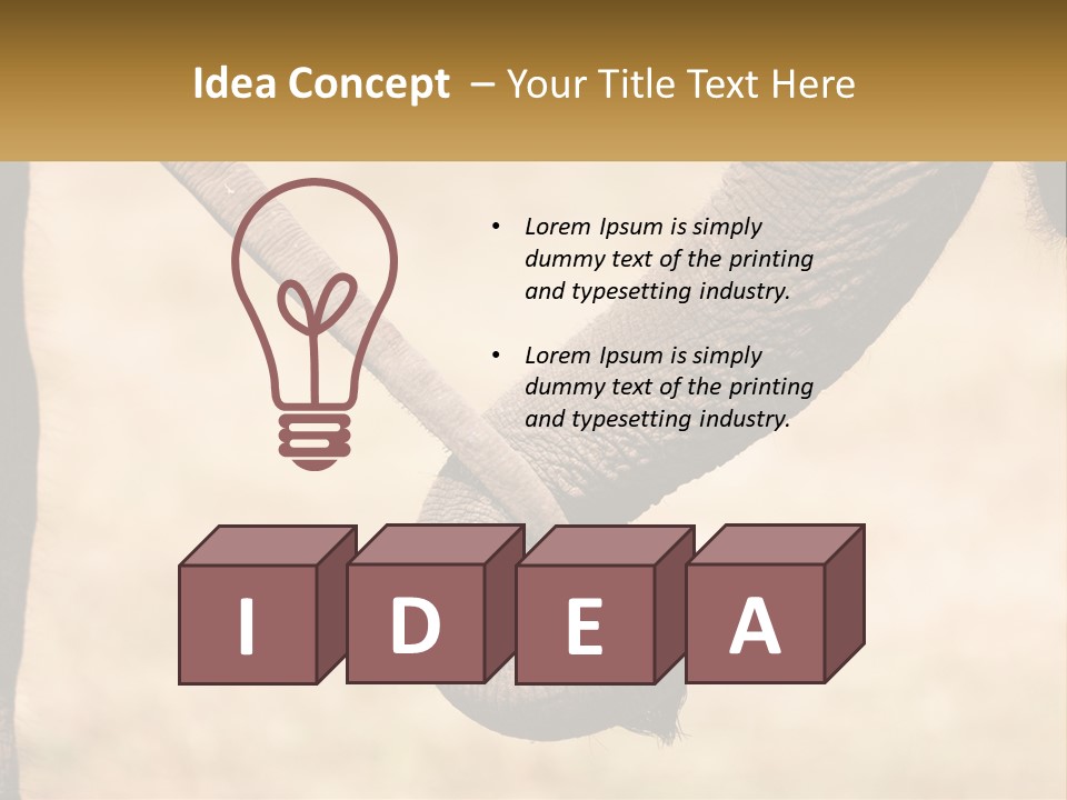 Baby Elephant Holds On To Mom's Tail PowerPoint Template