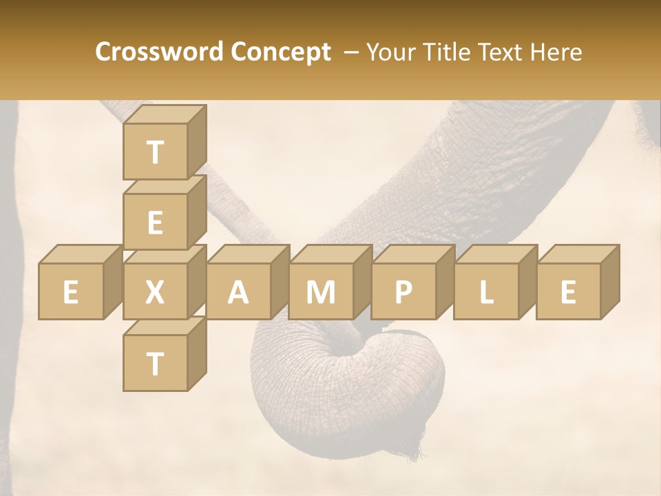 Baby Elephant Holds On To Mom's Tail PowerPoint Template