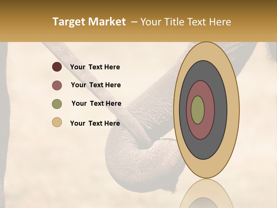 Baby Elephant Holds On To Mom's Tail PowerPoint Template