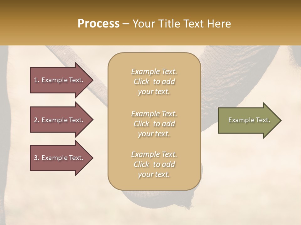 Baby Elephant Holds On To Mom's Tail PowerPoint Template