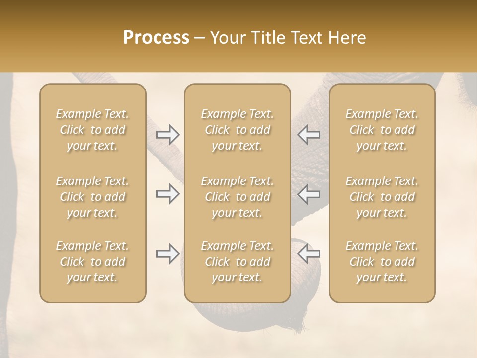 Baby Elephant Holds On To Mom's Tail PowerPoint Template