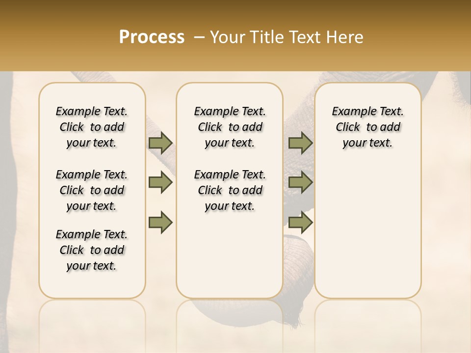 Baby Elephant Holds On To Mom's Tail PowerPoint Template
