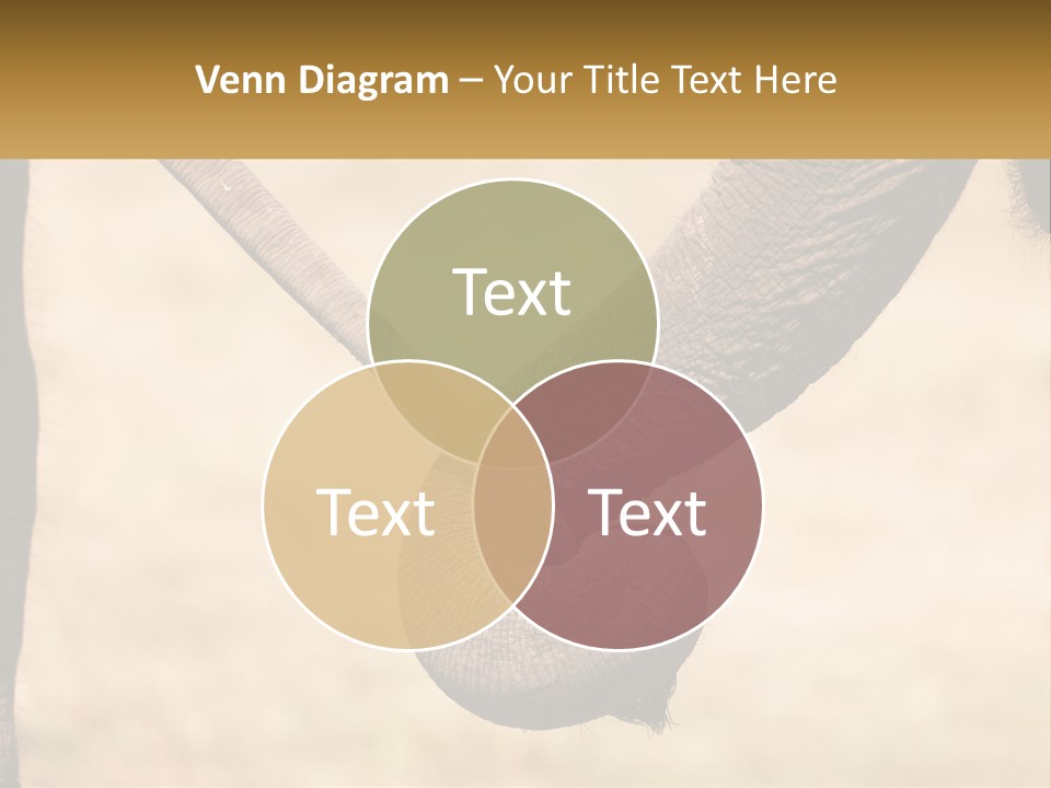 Baby Elephant Holds On To Mom's Tail PowerPoint Template