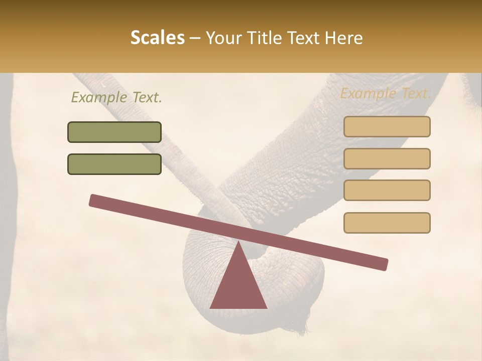 Baby Elephant Holds On To Mom's Tail PowerPoint Template