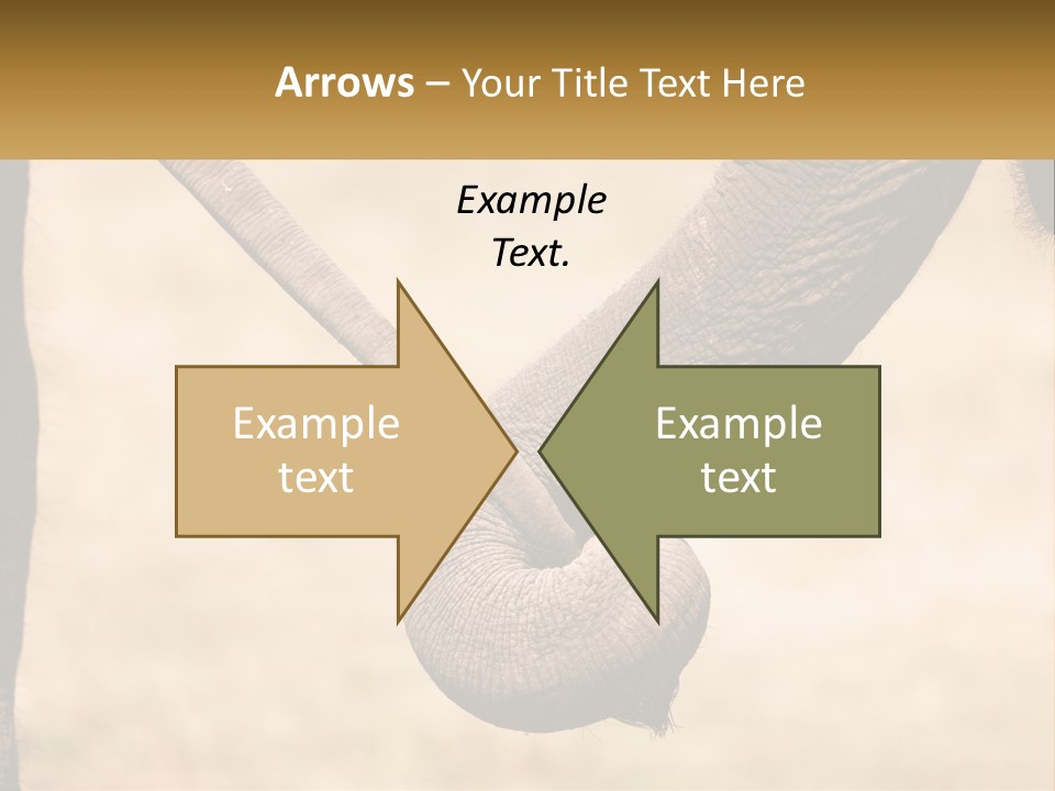 Baby Elephant Holds On To Mom's Tail PowerPoint Template