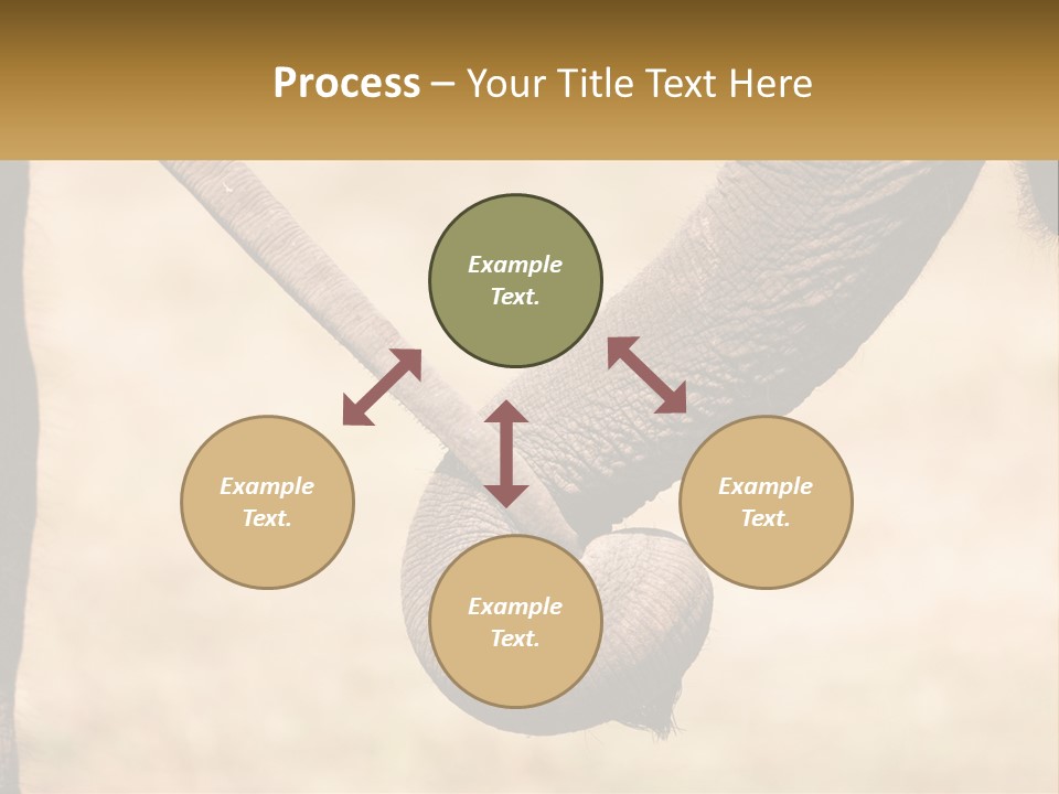 Baby Elephant Holds On To Mom's Tail PowerPoint Template