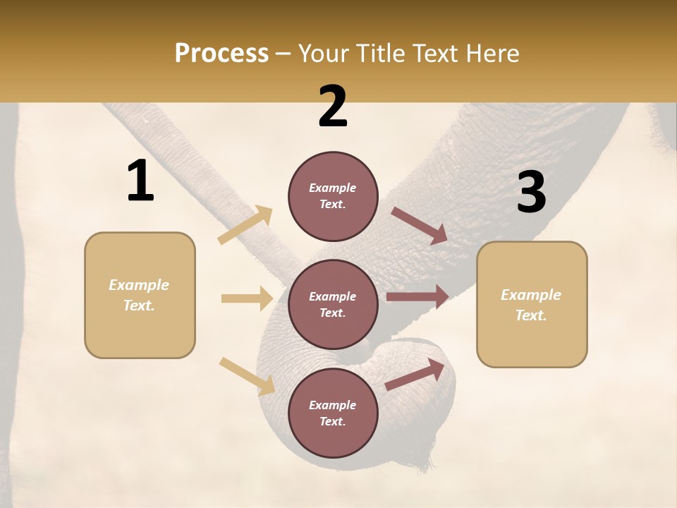 Baby Elephant Holds On To Mom's Tail PowerPoint Template