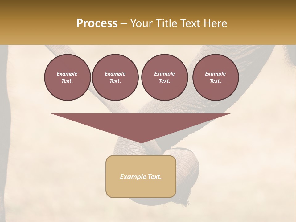 Baby Elephant Holds On To Mom's Tail PowerPoint Template