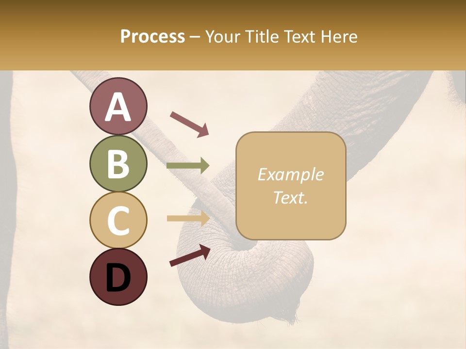 Baby Elephant Holds On To Mom's Tail PowerPoint Template