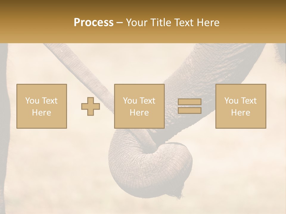 Baby Elephant Holds On To Mom's Tail PowerPoint Template