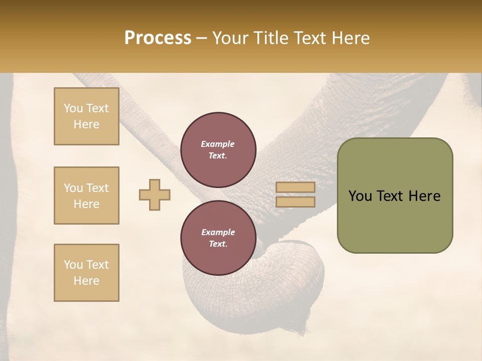 Baby Elephant Holds On To Mom's Tail PowerPoint Template