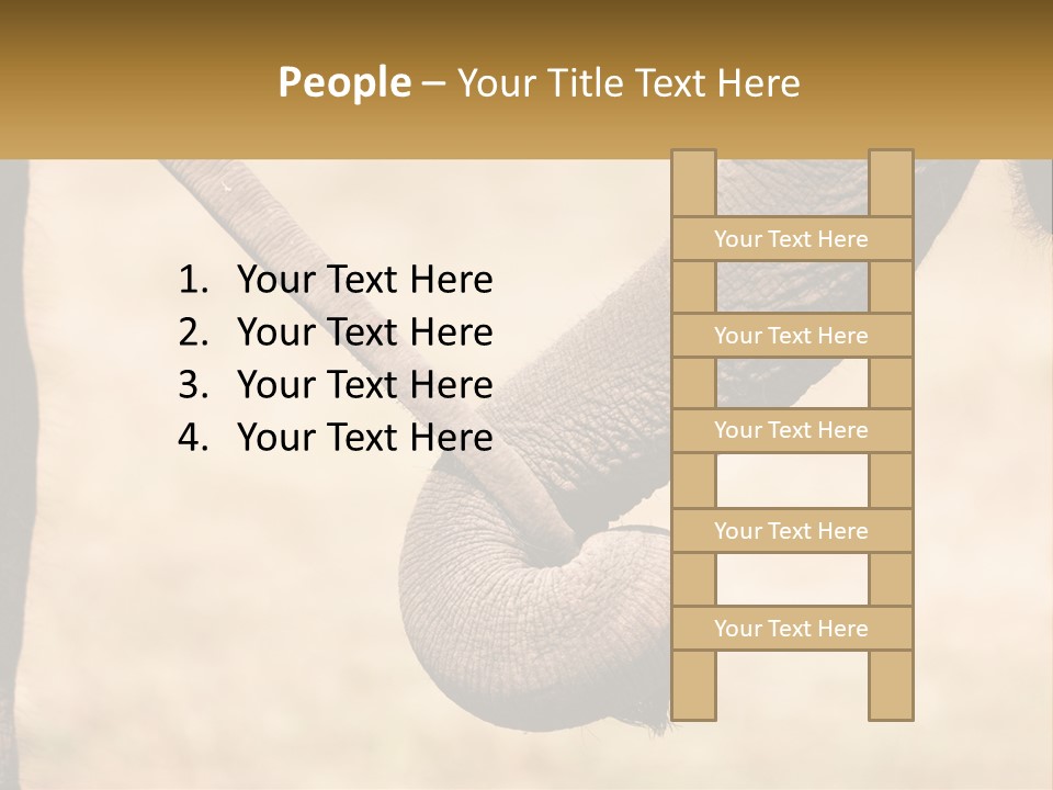 Baby Elephant Holds On To Mom's Tail PowerPoint Template