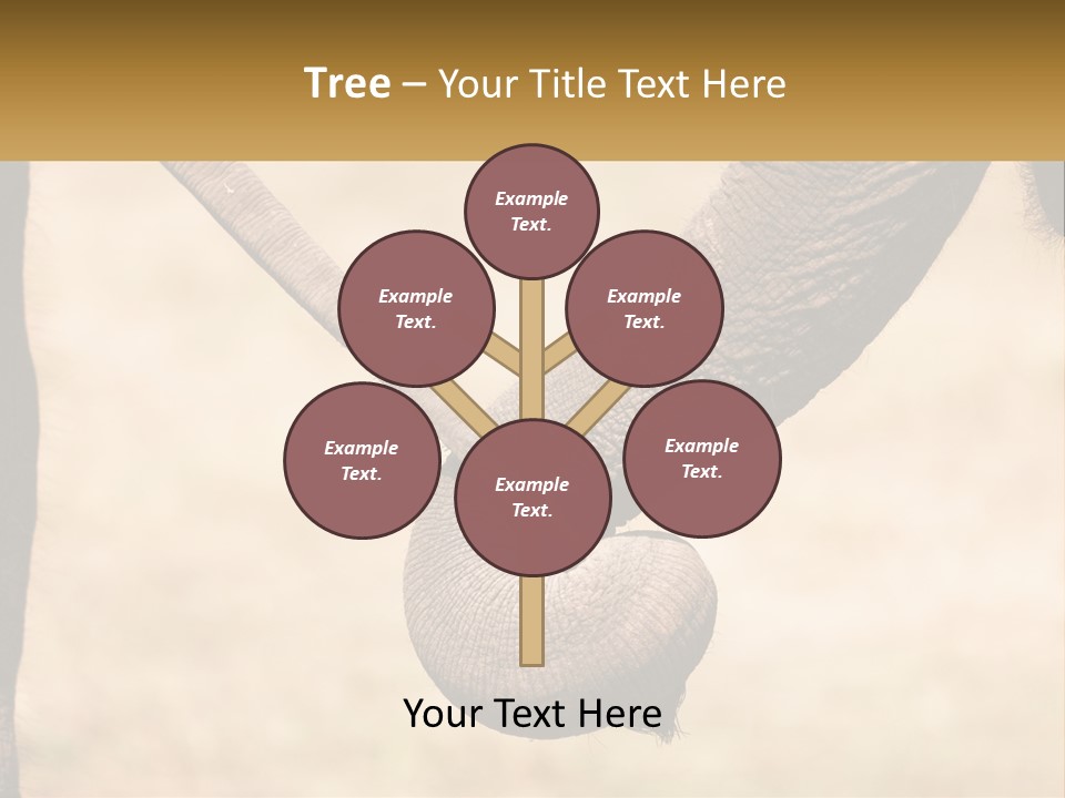 Baby Elephant Holds On To Mom's Tail PowerPoint Template