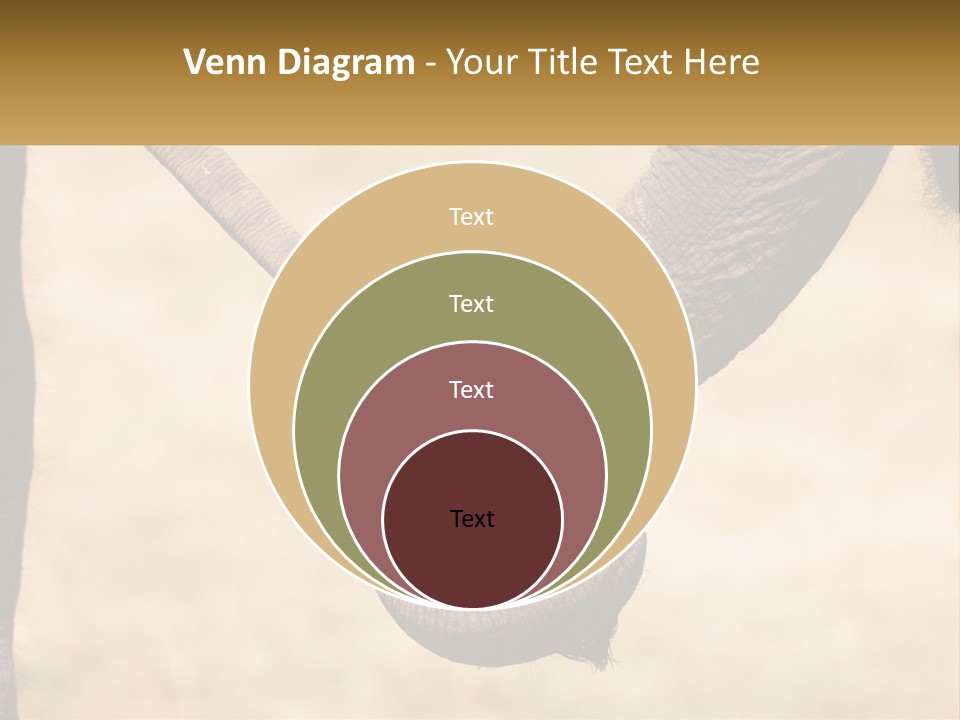 Baby Elephant Holds On To Mom's Tail PowerPoint Template