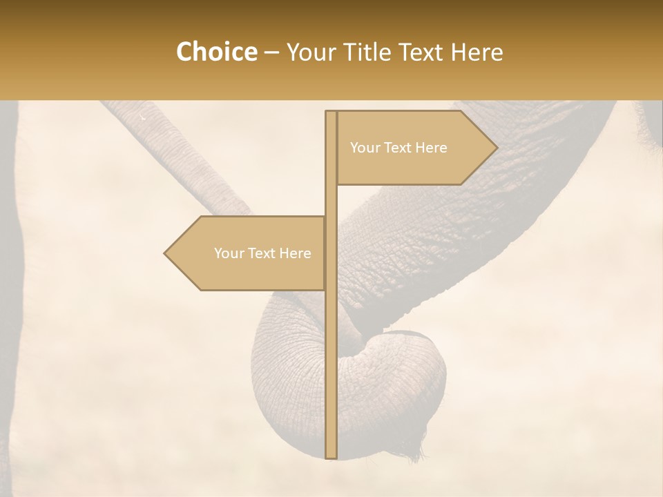 Baby Elephant Holds On To Mom's Tail PowerPoint Template