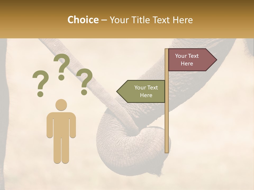 Baby Elephant Holds On To Mom's Tail PowerPoint Template