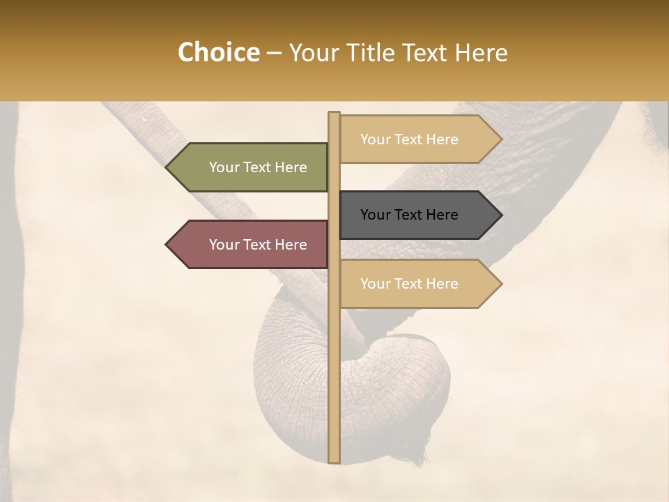 Baby Elephant Holds On To Mom's Tail PowerPoint Template