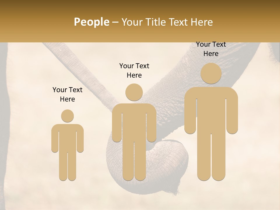 Baby Elephant Holds On To Mom's Tail PowerPoint Template