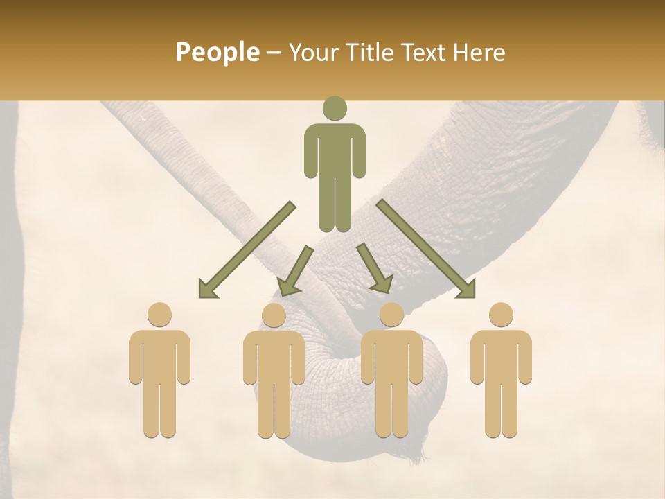 Baby Elephant Holds On To Mom's Tail PowerPoint Template