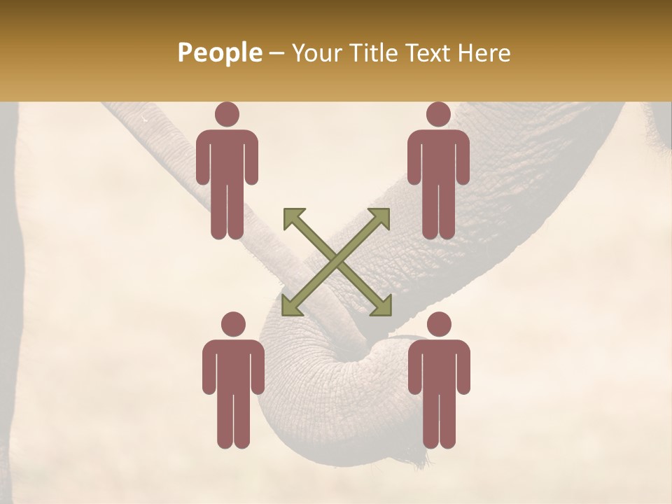 Baby Elephant Holds On To Mom's Tail PowerPoint Template