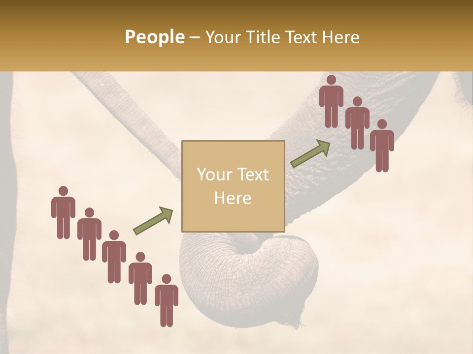 Baby Elephant Holds On To Mom's Tail PowerPoint Template