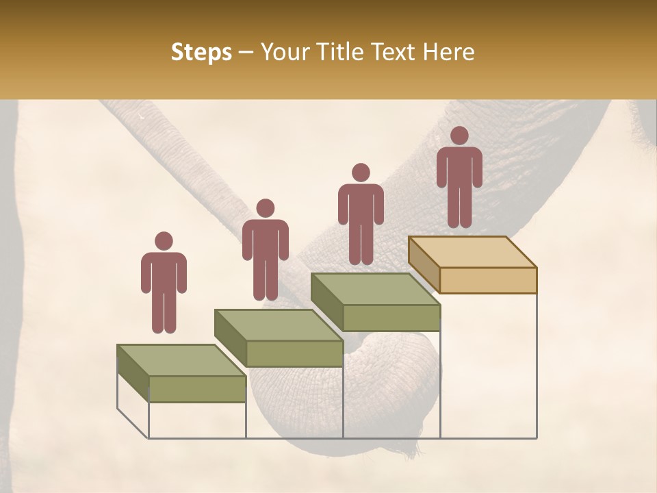 Baby Elephant Holds On To Mom's Tail PowerPoint Template