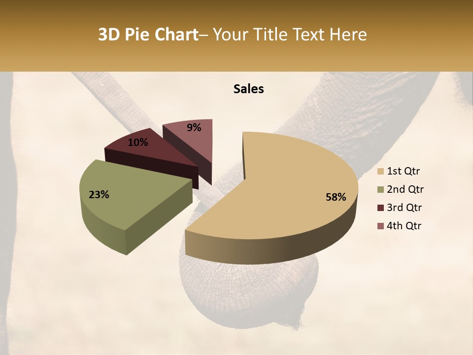 Baby Elephant Holds On To Mom's Tail PowerPoint Template