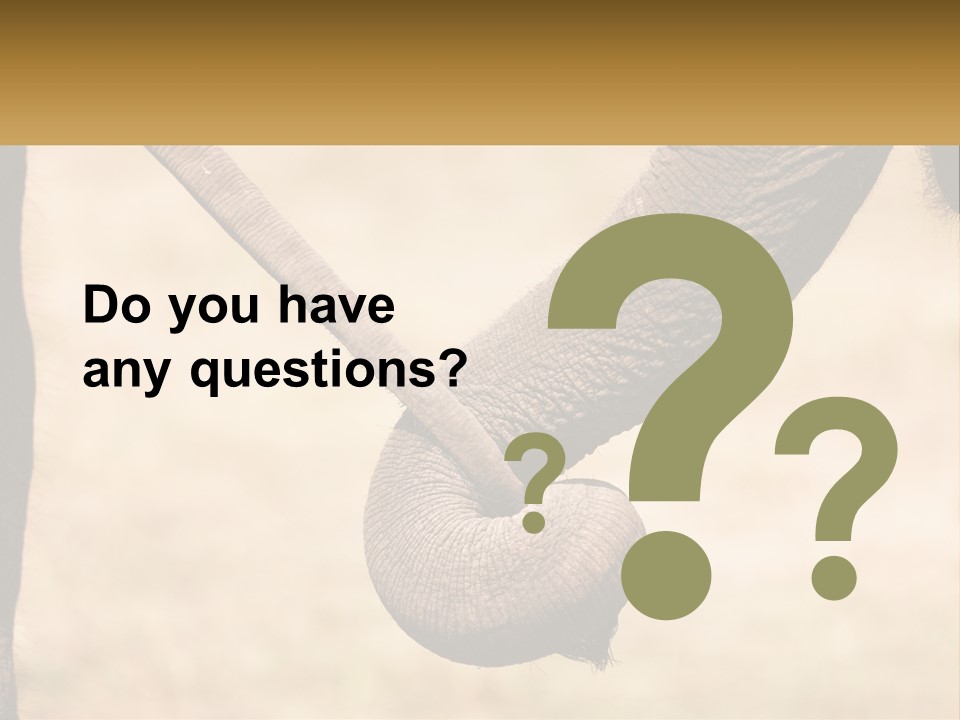 Baby Elephant Holds On To Mom's Tail PowerPoint Template