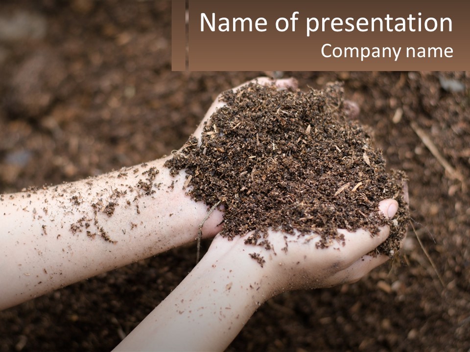 Earth In Hands PowerPoint Template