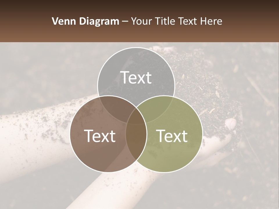 Earth In Hands PowerPoint Template