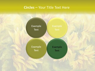 Oil Painting Sunflowers PowerPoint Template