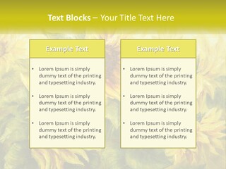 Oil Painting Sunflowers PowerPoint Template