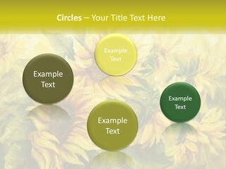 Oil Painting Sunflowers PowerPoint Template